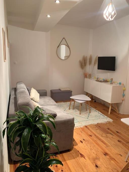Ferienwohnung Le Petit Cocon Nimois Nîmes Exterior foto